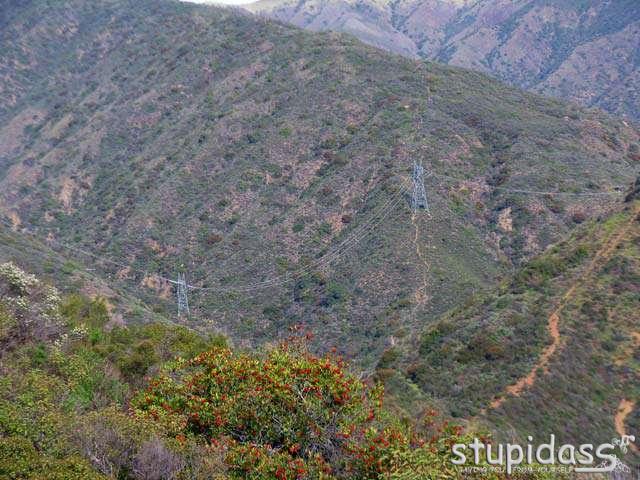 Smashface 2011-01 (08)