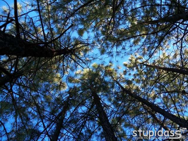 EHT Trail Work 2011-10 (13)